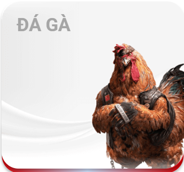 Đá gà UU88